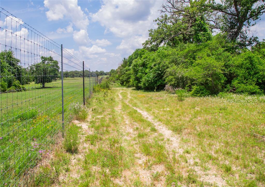 TBD County Road 308a Ranch , Caldwell, Texas image 21