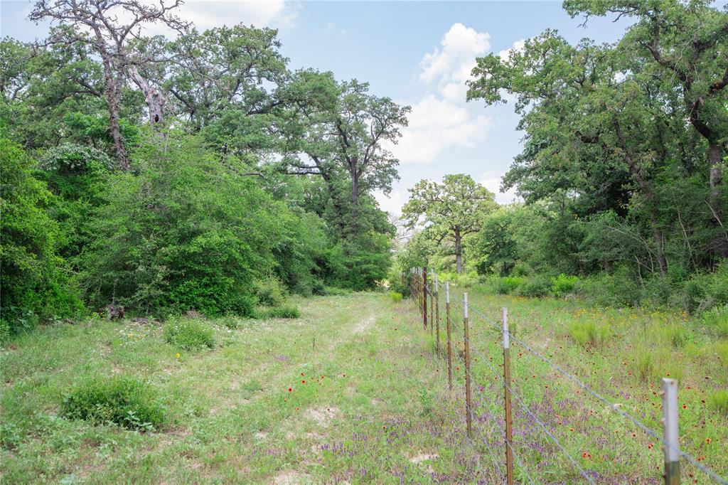 TBD County Road 308a Ranch , Caldwell, Texas image 27
