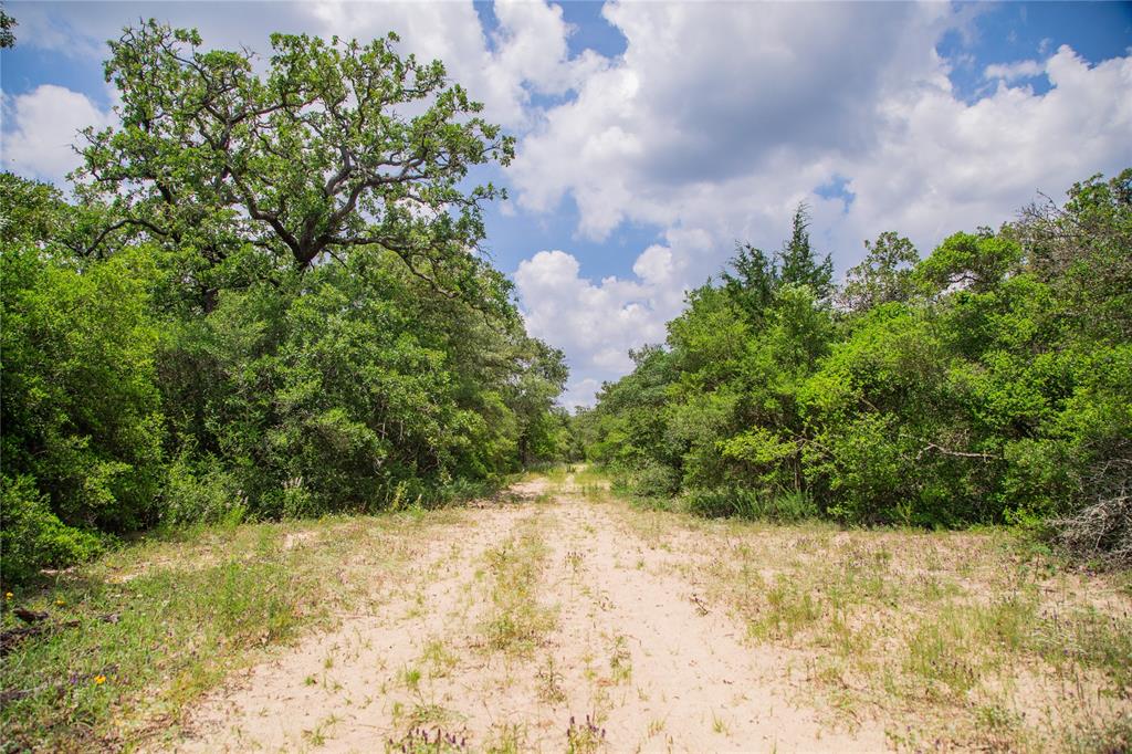 TBD County Road 308a Ranch , Caldwell, Texas image 29