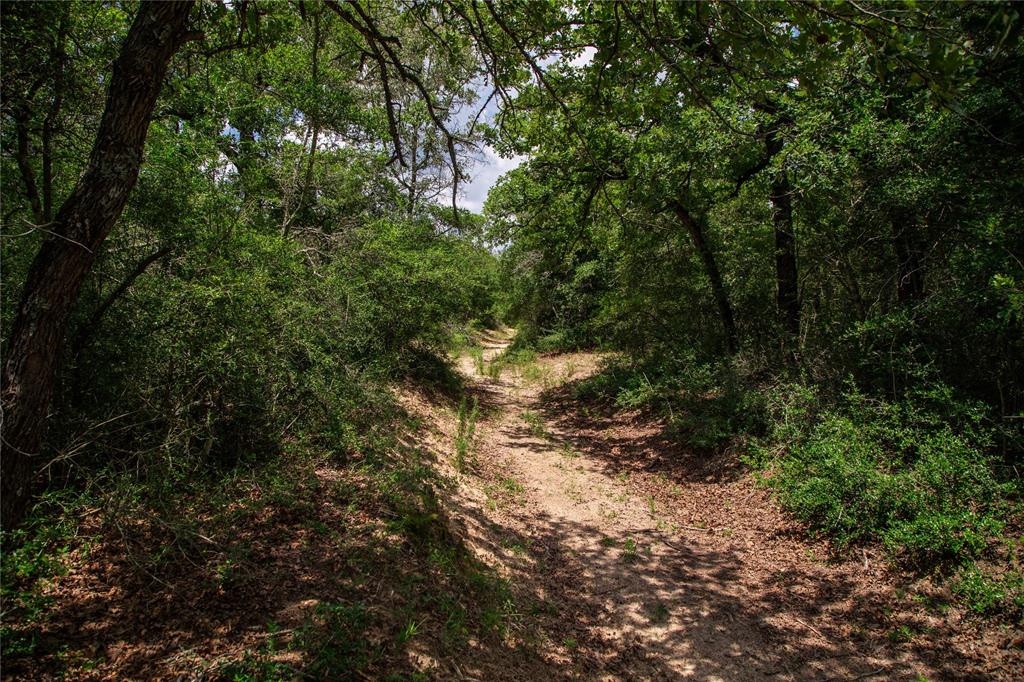 TBD County Road 308a Ranch , Caldwell, Texas image 30