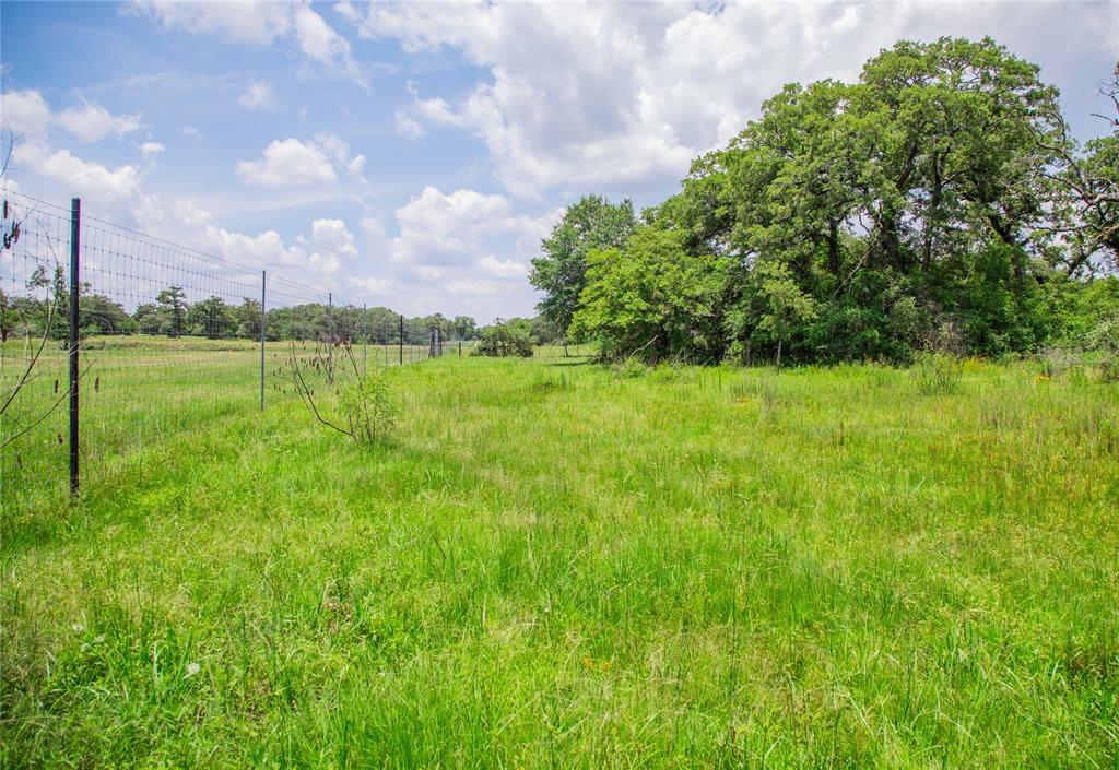 TBD County Road 308a Ranch , Caldwell, Texas image 4