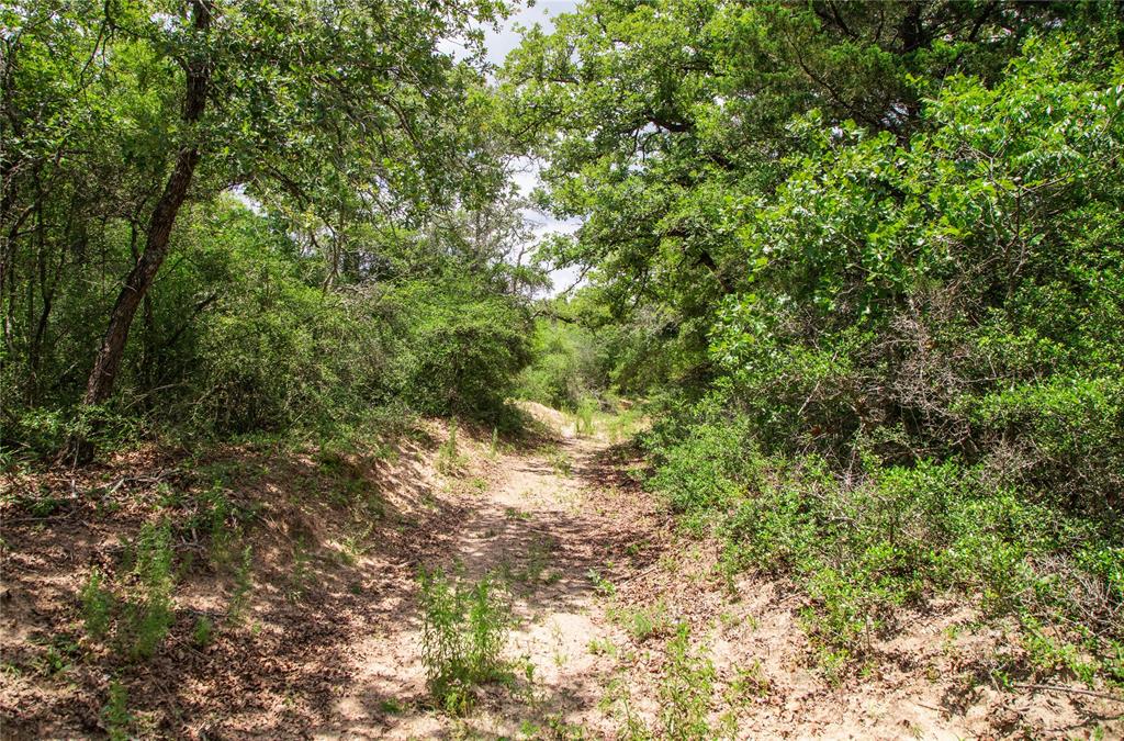 TBD County Road 308a Ranch , Caldwell, Texas image 31