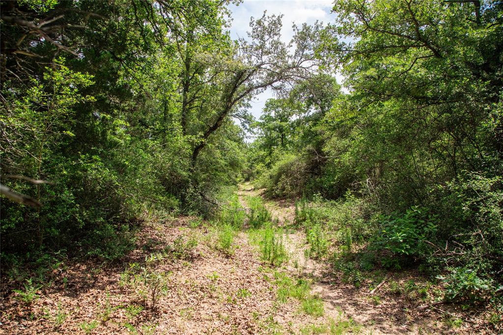 TBD County Road 308a Ranch , Caldwell, Texas image 32