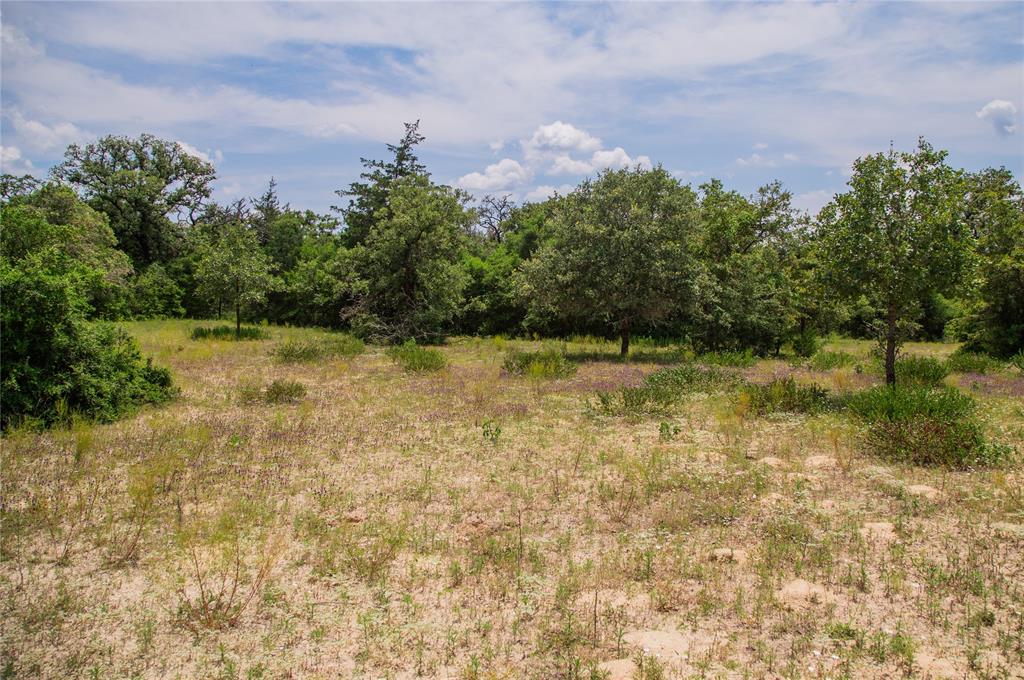 TBD County Road 308a Ranch , Caldwell, Texas image 33