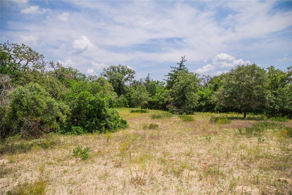 TBD County Road 308a Ranch , Caldwell, Texas image 34