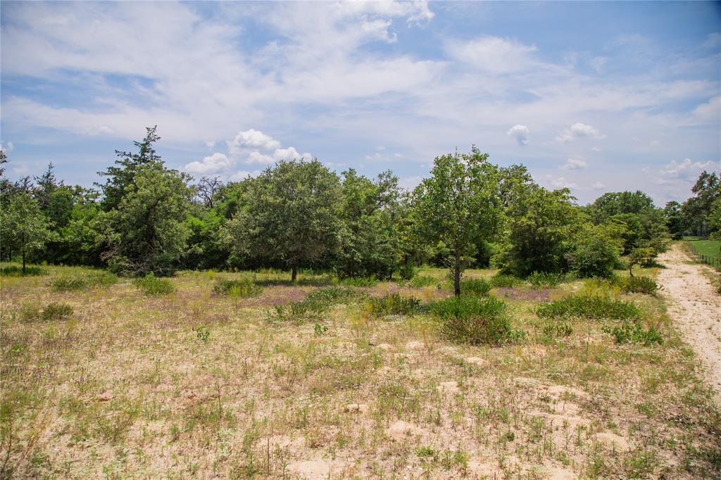 TBD County Road 308a Ranch , Caldwell, Texas image 35