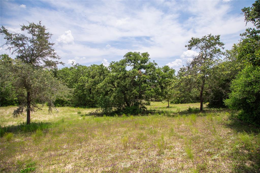 TBD County Road 308a Ranch , Caldwell, Texas image 36