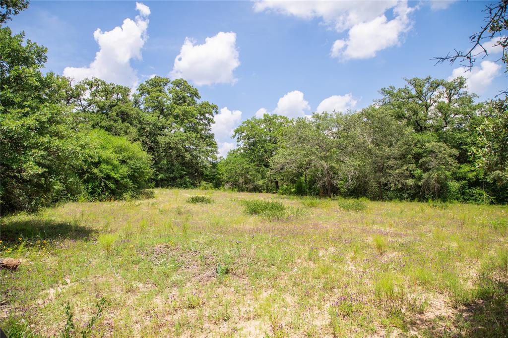 TBD County Road 308a Ranch , Caldwell, Texas image 38