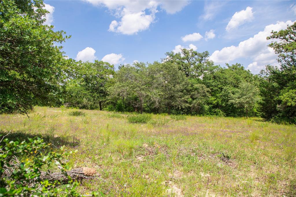 TBD County Road 308a Ranch , Caldwell, Texas image 40