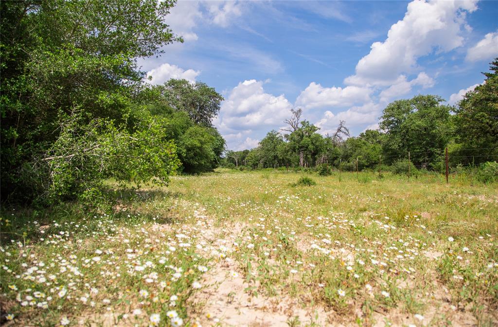 TBD County Road 308a Ranch , Caldwell, Texas image 43