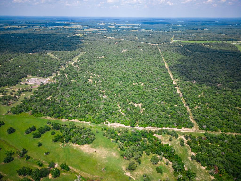 TBD County Road 308a Ranch , Caldwell, Texas image 44