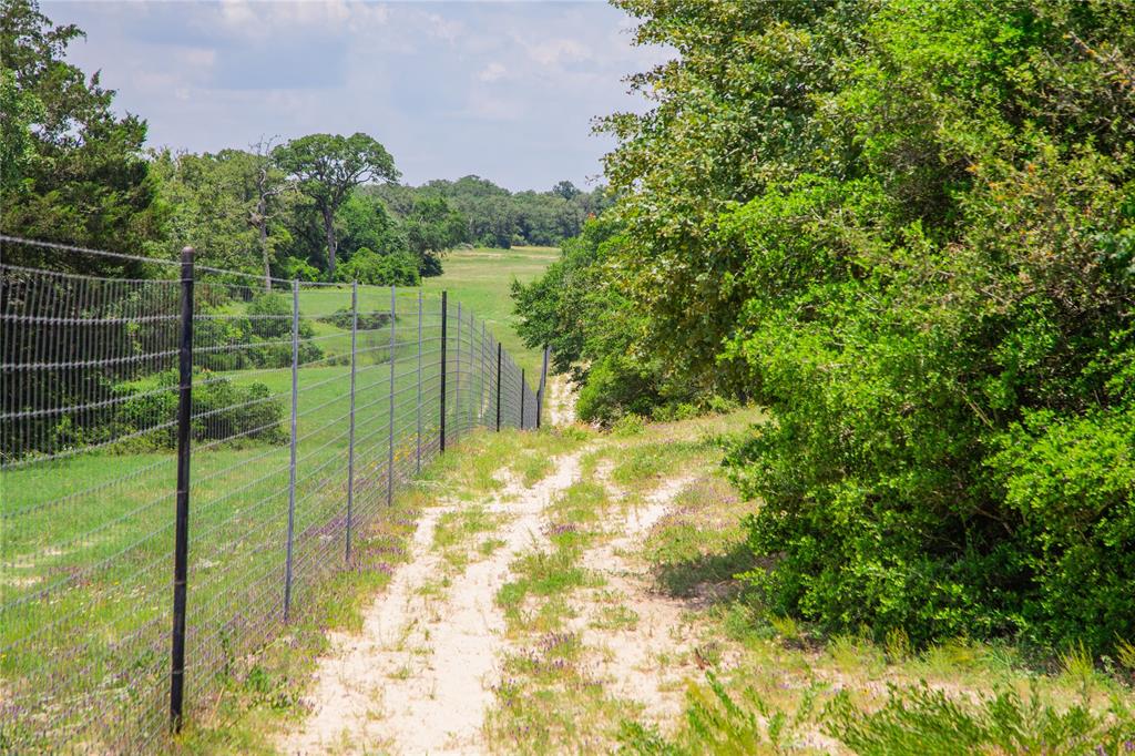 TBD County Road 308a Ranch , Caldwell, Texas image 9
