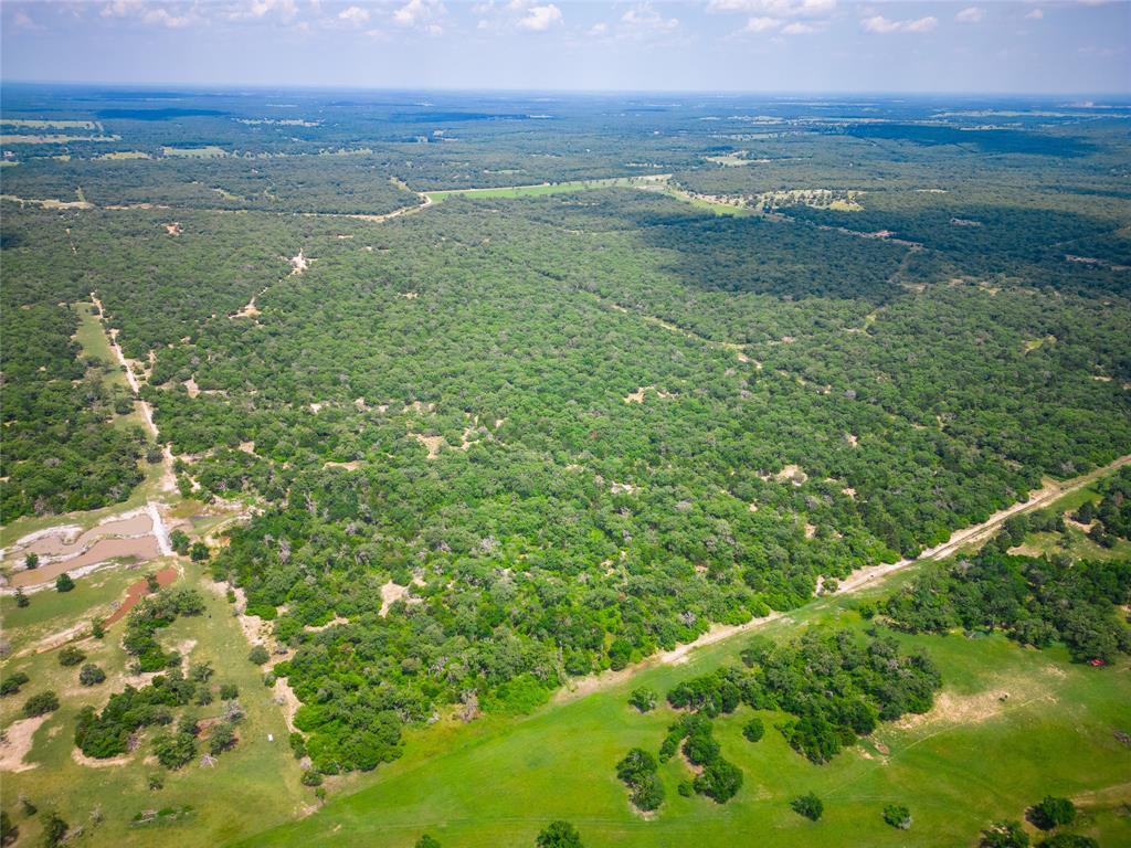 TBD County Road 308a Ranch , Caldwell, Texas image 10