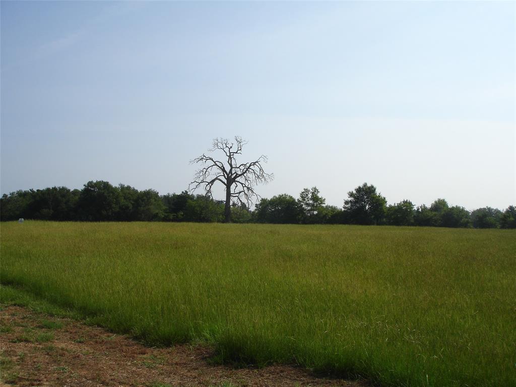 1943 Fm 489  , Oakwood, Texas image 5