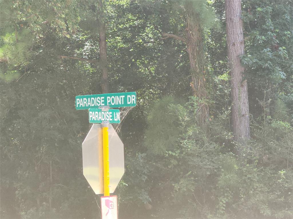 B4 L9  PARADISE POINT  Willis Texas 77318, 39