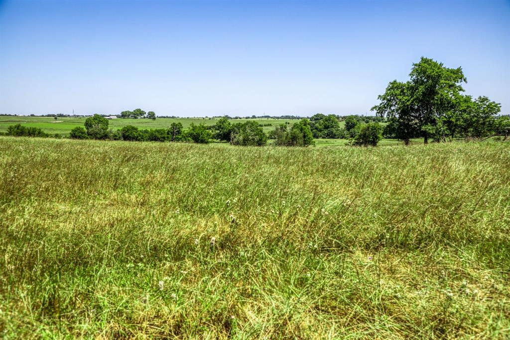 4753 Blezinger Road  , New Ulm, Texas image 17