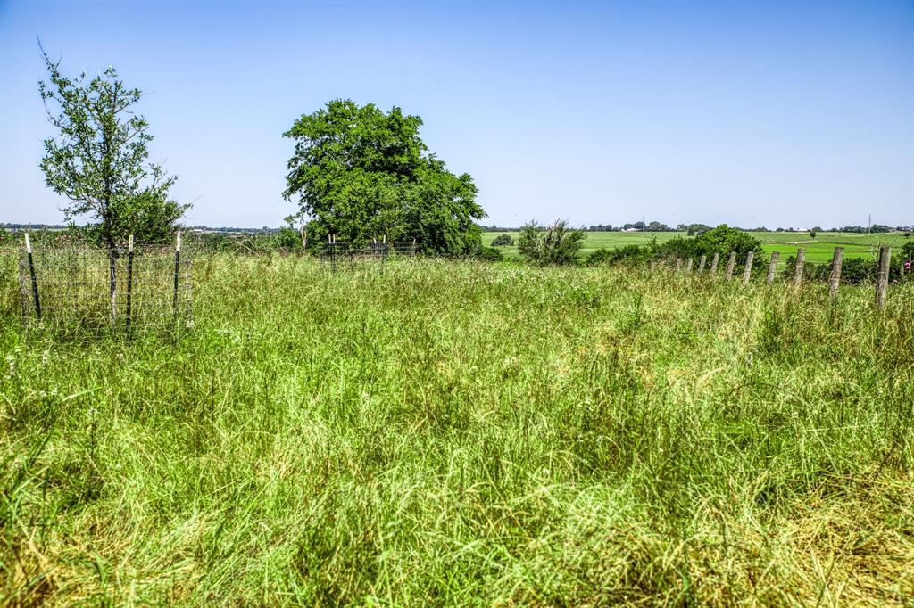 4753 Blezinger Road  , New Ulm, Texas image 19