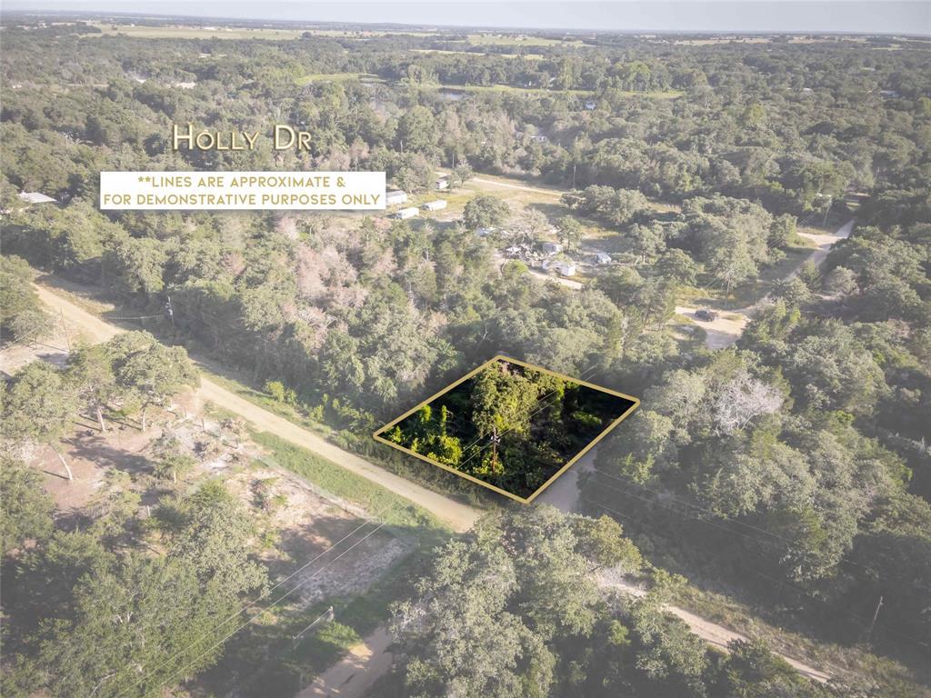 0000  Holly Drive  Caldwell Texas 77836, 59