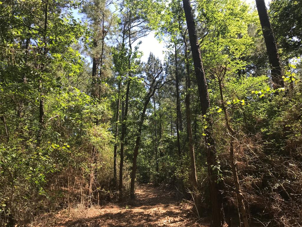 89 Lonestar Road, New Waverly 89 Lonestar Road New Waverly Texas 77358, 43