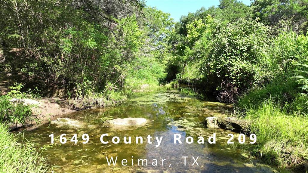 1649  County Road 209  Weimar Texas 78962, 56