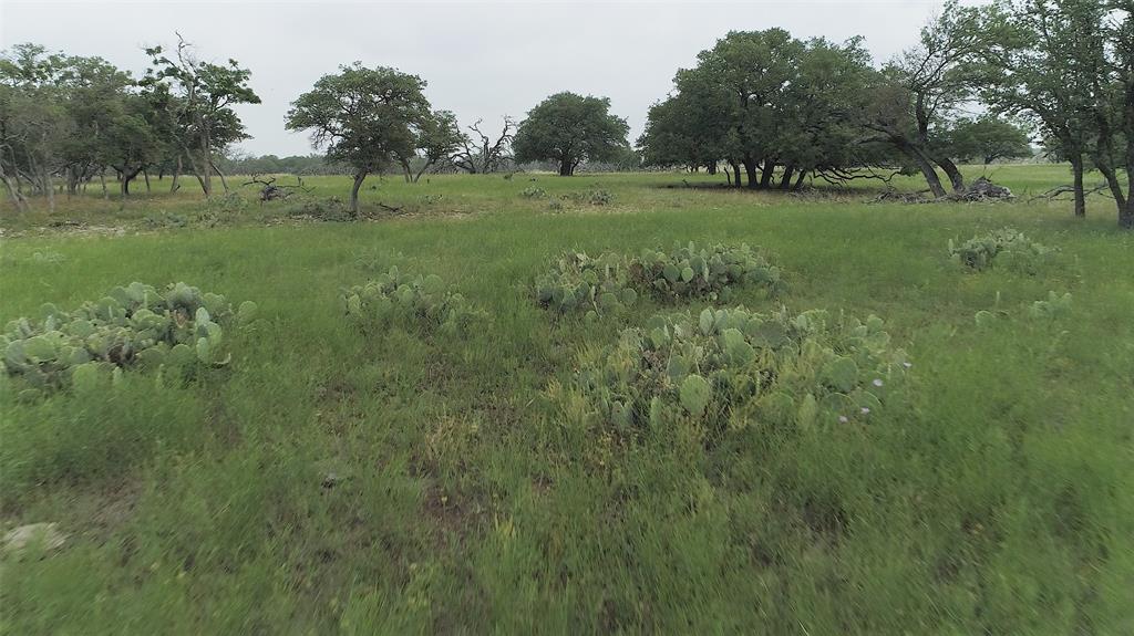 Tbd County Road 130  , Goldthwaite, Texas image 16