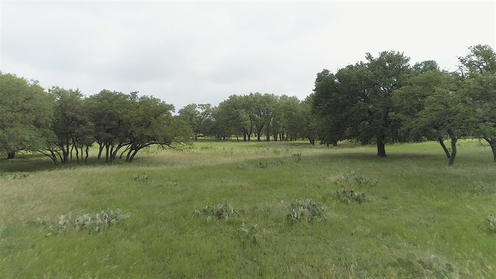 Tbd County Road 130  , Goldthwaite, Texas image 3