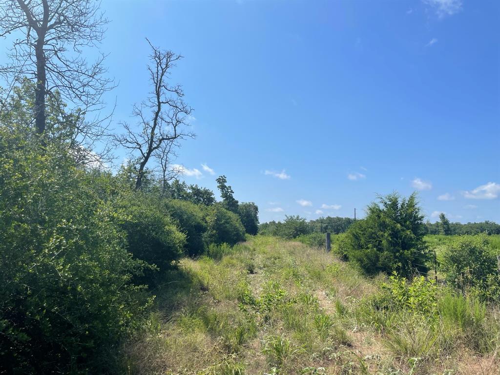 15154 County Rd 224  , Oakwood, Texas image 20