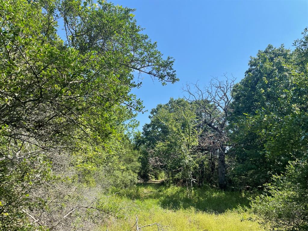 15154 County Rd 224  , Oakwood, Texas image 24