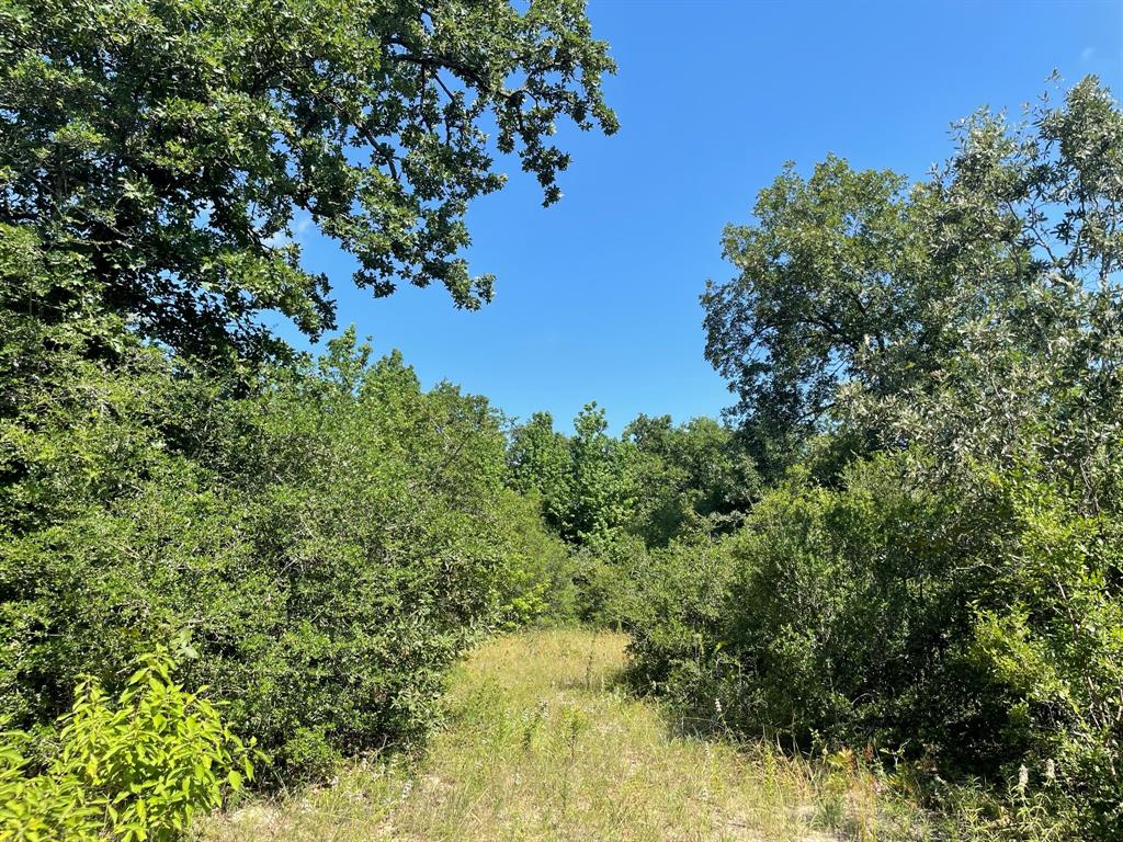 15154 County Rd 224  , Oakwood, Texas image 29