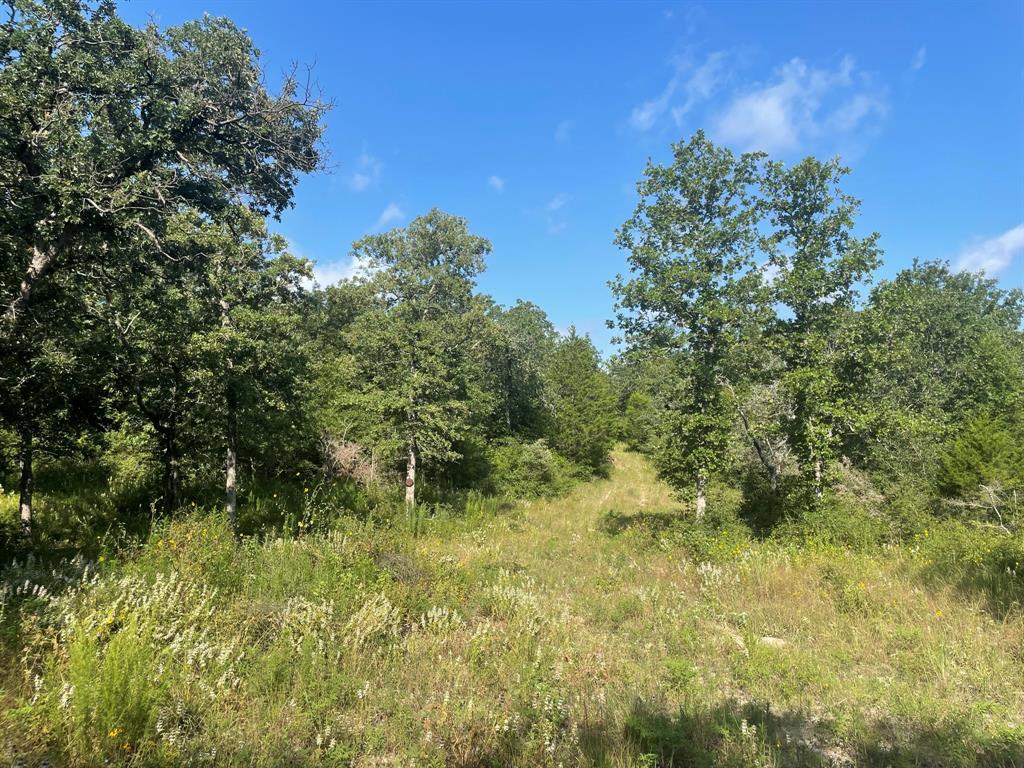 15154 County Rd 224  , Oakwood, Texas image 4