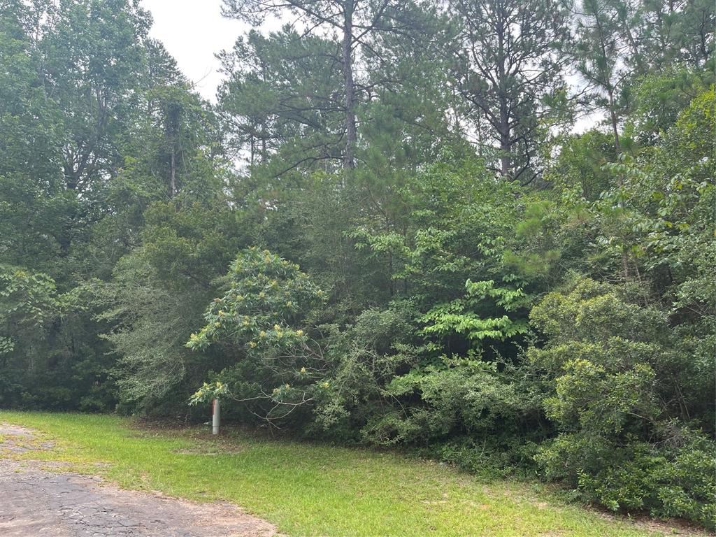 000 Basil Lane, Brookeland 000 Basil Lane Brookeland Texas 75931, 46