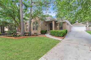 19 Long Springs, The Woodlands, TX 77382