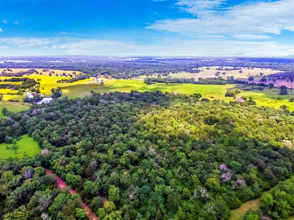 15577 Reagan Loop, Franklin 15577 Reagan Loop Franklin Texas 77856, 72