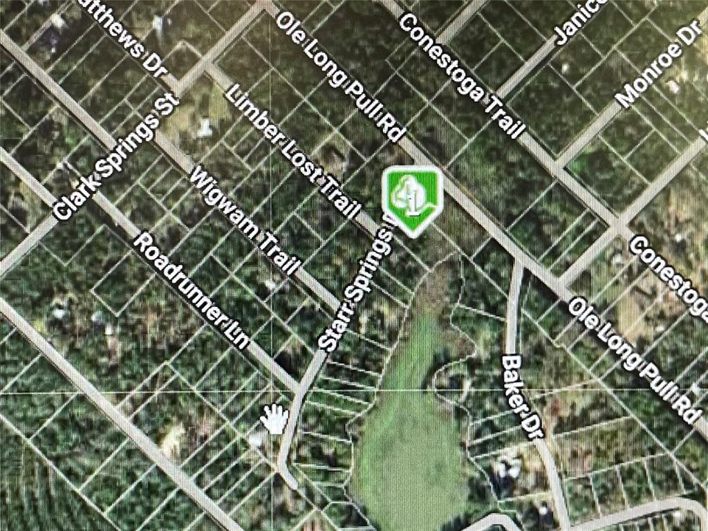 0 Starr Springs Drive, Livingston 0 Starr Springs Drive Livingston Texas 77351, 44