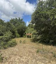 TBD CR 273 Rd, Sheridan, TX 77475 - HAR.com