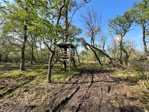 000 County Road 30, Angleton, TX, 77515