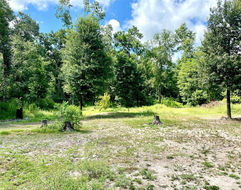 TBD  State Highway Loop 116  Livingston Texas 77351, 44