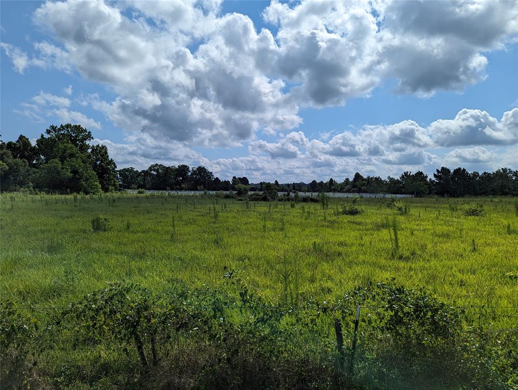 TBD County Road 184, Liberty TBD County Road 184 Liberty Texas 77575, 52