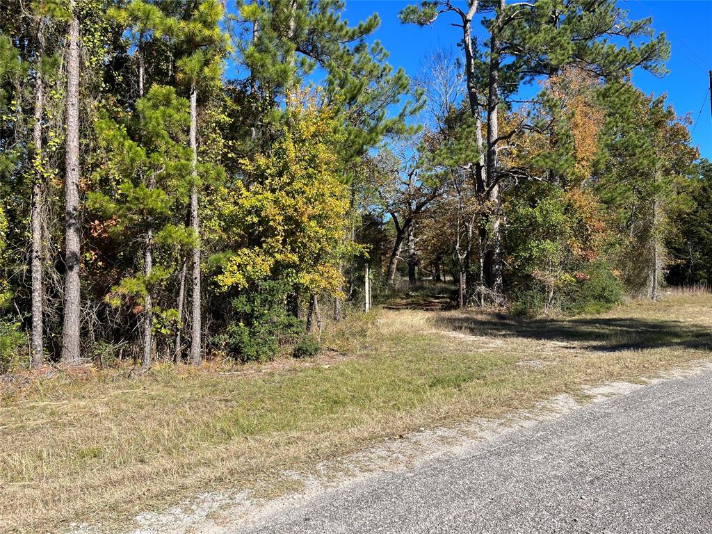 163 Acorn Hill Drive, Huntsville 163 Acorn Hill Drive Huntsville Texas 77320, 43