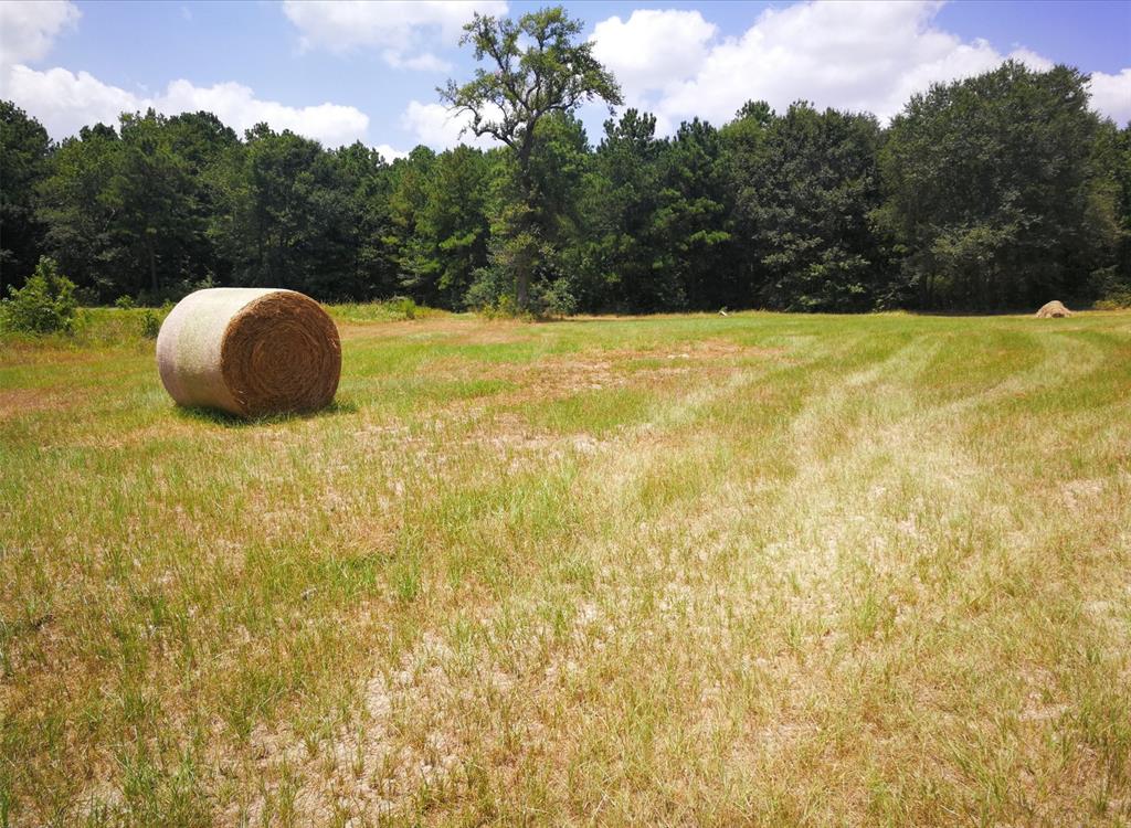 TBD  WILLIAMS Road Huntsville Texas 77340, 43
