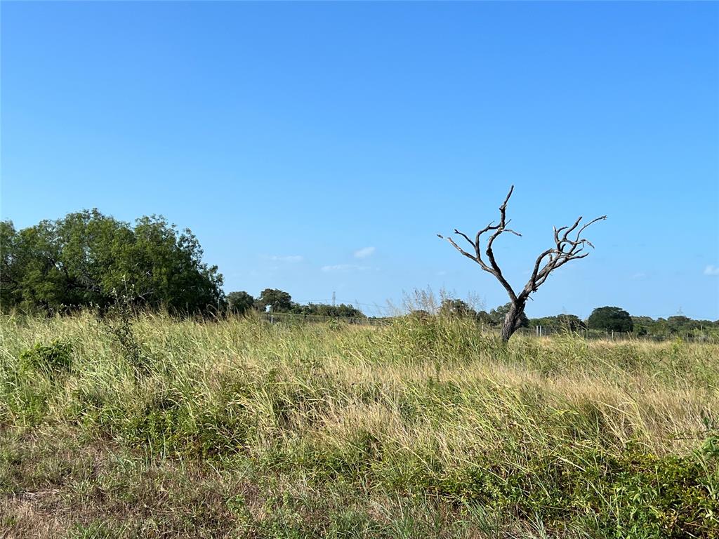 1932 Old Goliad Road , Cuero, Texas image 4