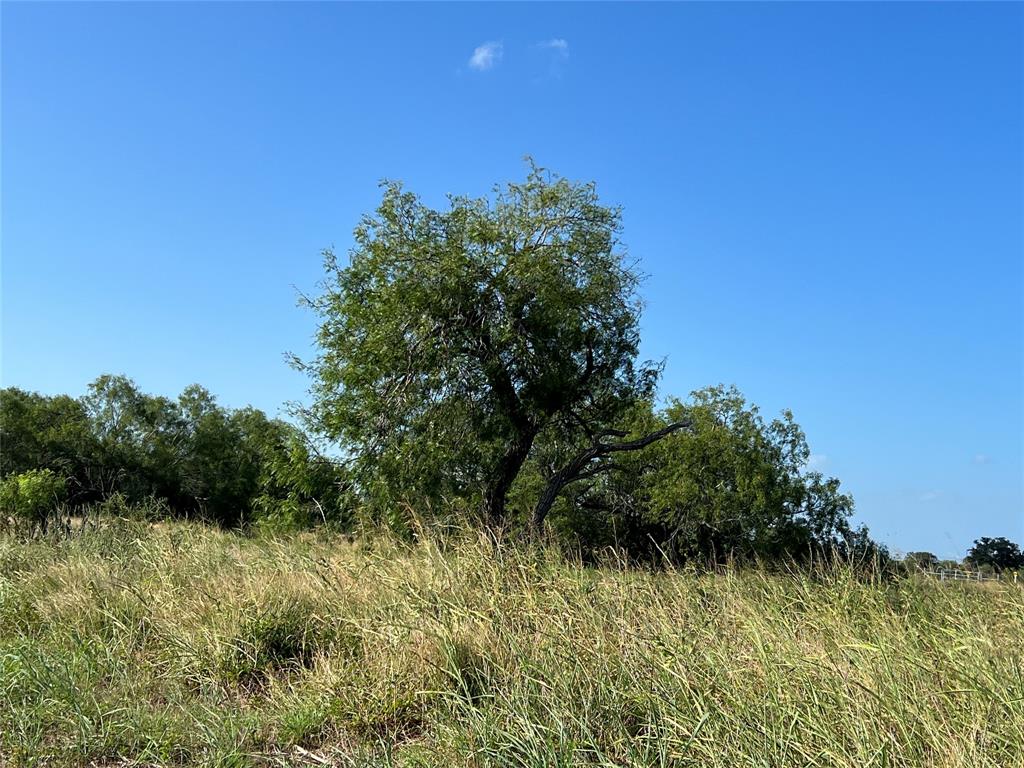 1932 Old Goliad Road , Cuero, Texas image 5