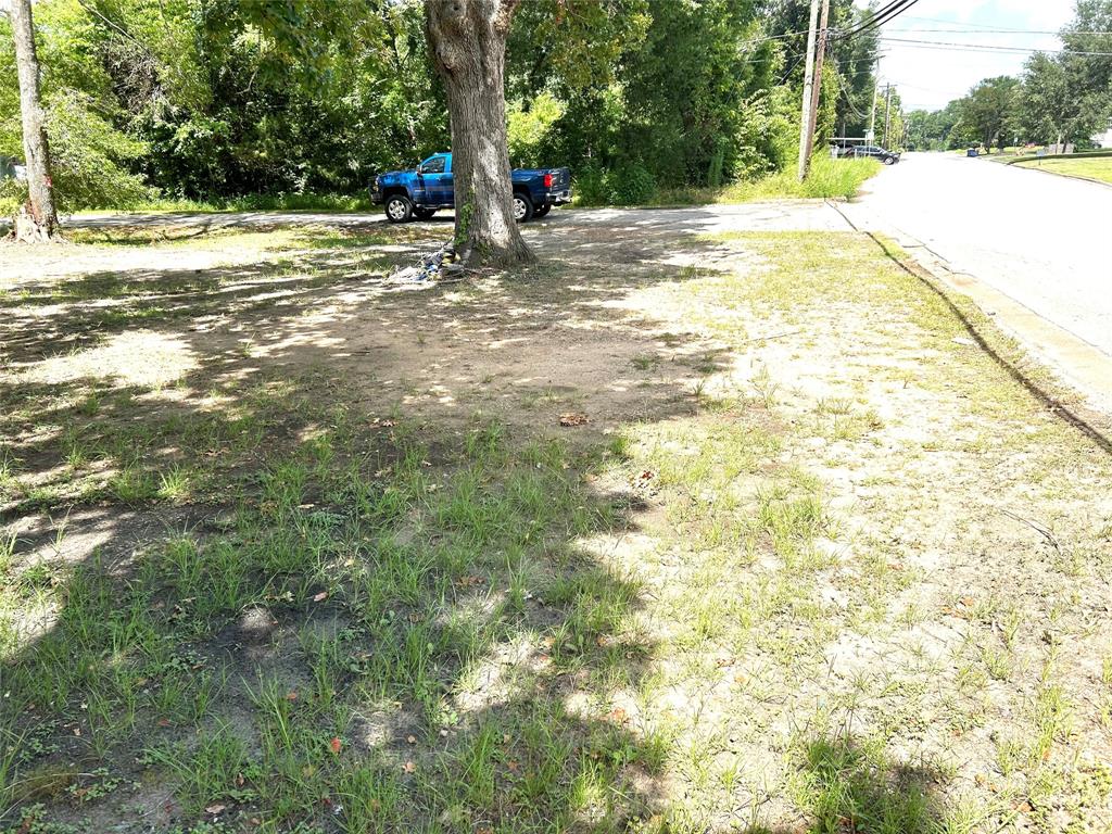 TBD  Martin Luther King Drive Livingston Texas 77351, 44