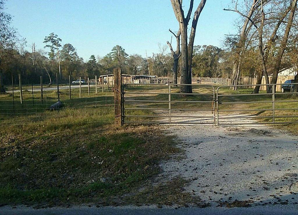 2216  Wilburforce Street Houston Texas 77091, 9