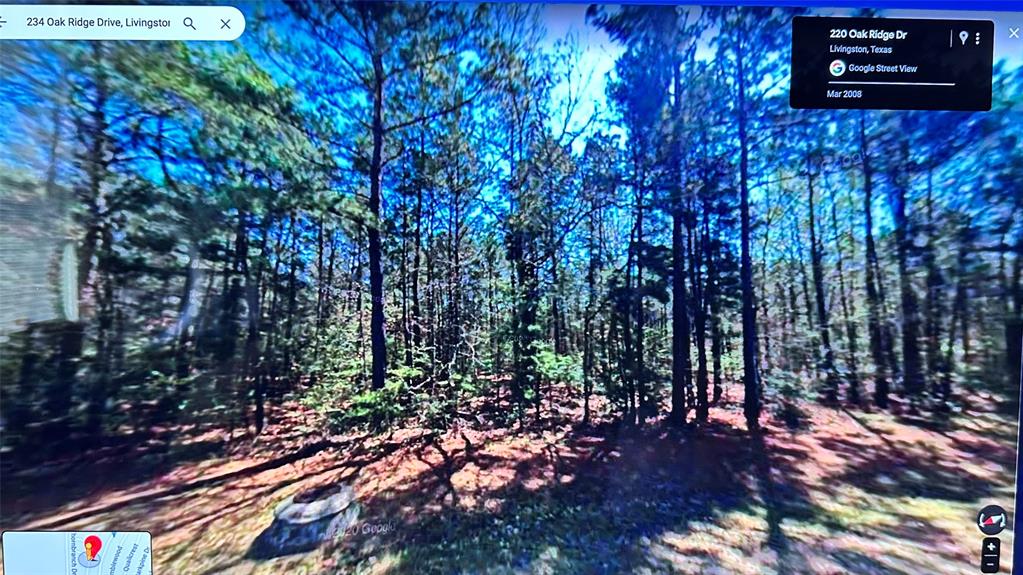 234  Oakridge  Livingston Texas 77351, 44
