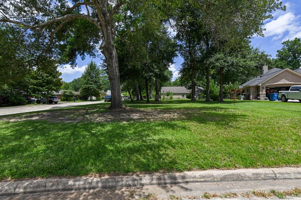 TBD  Crater  Willis Texas 77318, 39