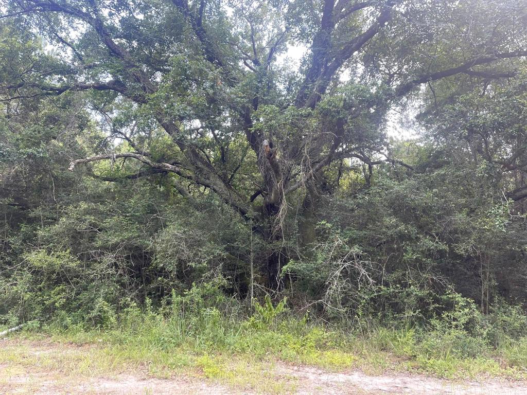 129 County Rd 4955