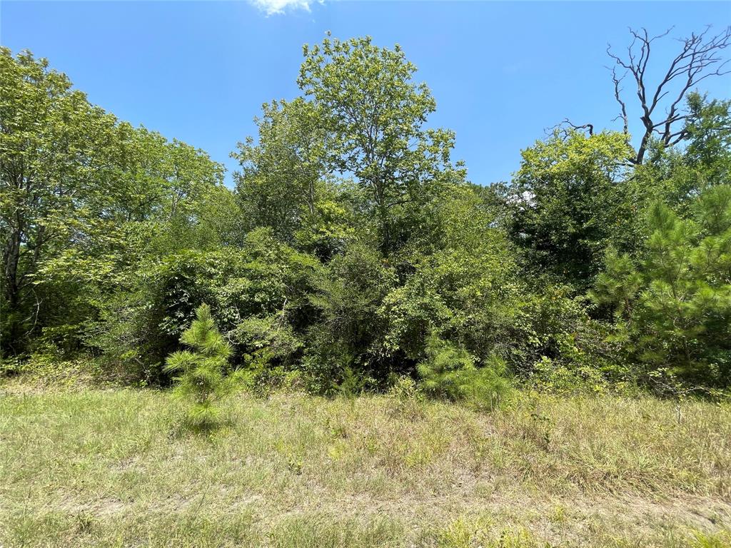 TBD  Willow Wood Drive Navasota Texas 77868, 60