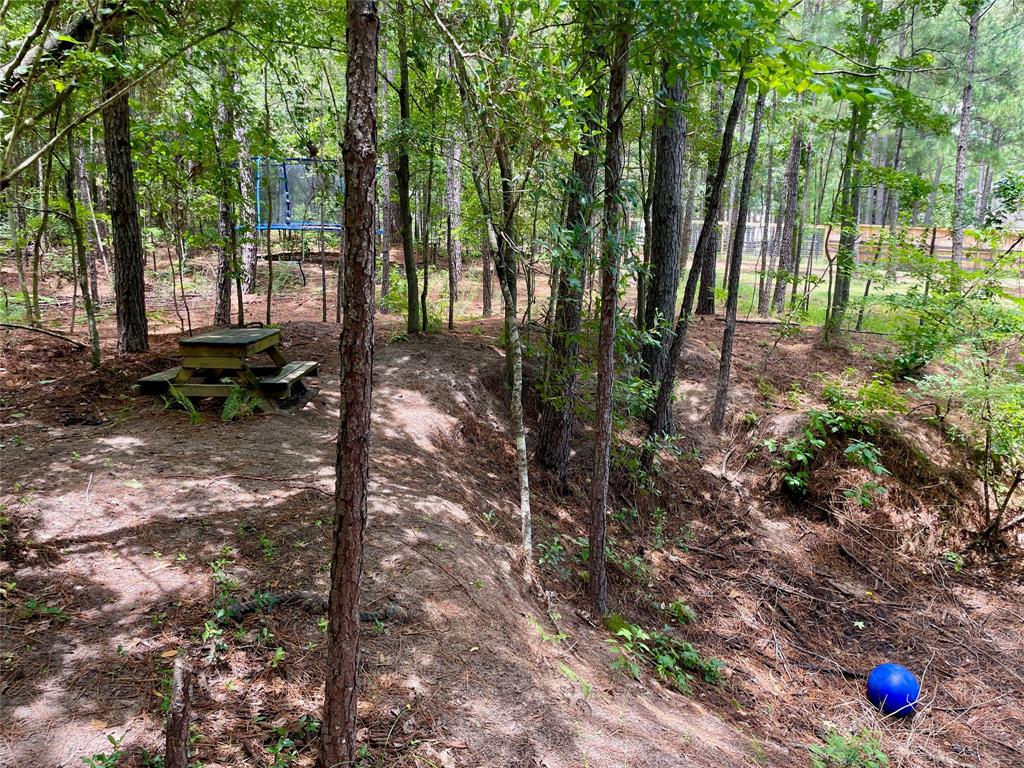 Welcome to your own private paradise! This home is a nature lover\'s dream, with its own secluded dry pond and plenty of woodland for you to explore. Enjoy peaceful picnics in the shade of the trees while taking in all the sights and sounds of nature around you.