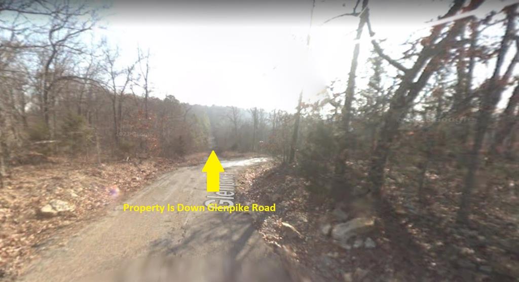 Lot 104  Glenpike Drive Other Arkansas 72653, 81